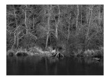 Creek