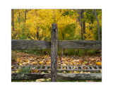 Fence