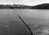 Stick in Frozen Lake