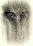 Interpreting Faces