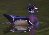 _E8T6576_1.jpg