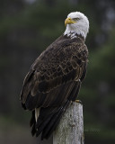 _E8T4477.jpg