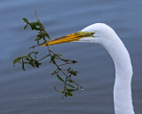 _84A5762 copy.jpg