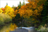 Autumn Reflections