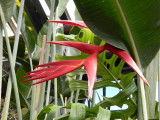DSCN0813.JPG