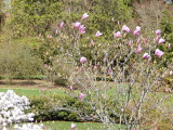 DSCN1236.JPG