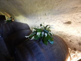 DSCN2129.JPG