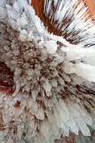 Ice Crystals 3