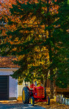 Trees and Tractor