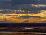 Prairie Light