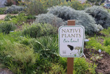 Southern California Native Plants Live Here