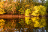 Swinsty Reservoir  13_d800_4308