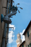 Torre del Mangia Siena  14_d800_1852 