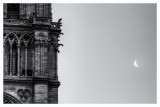 Notre Dame Morning  15_d800_0947