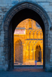 Lincoln Cathedral  15_d800_3671