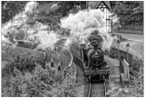 A weathered 3802 passes Berwyn.