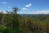 Blue Ridge Parkway Overlook