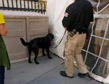 20130824_130620 Bomb Sniffing dog at World Trade Center Memorial Site