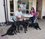Three Labs in Bedale