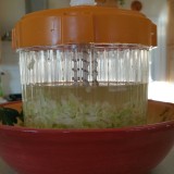 Look at all the water thats come out of the salted cabbage...