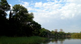 Okavango River.jpg
