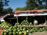  Melons.jpg