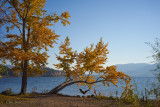 Okanagan Lake