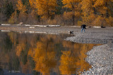 Skipping Stones