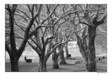 DSCF5717.jpg