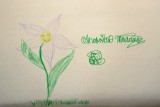 2014-06-06 195  SES 2014.JPG