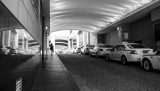 _DSC7968.jpg