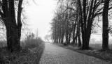 _DSC7432.jpg