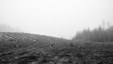 _DSC7399.jpg