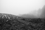 _DSC7397.jpg
