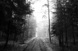 _DSC7386.jpg
