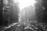 _DSC7385.jpg