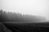 _DSC7366.jpg
