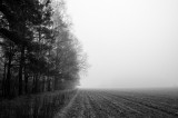 _DSC7358.jpg