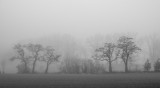 _DSC7333.jpg