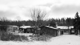 _DSC7701.jpg