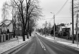 _DSC7825.jpg
