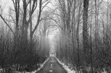 _DSC7276.jpg