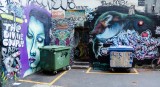 _DSC8495.jpg