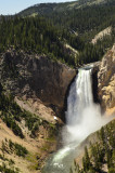 Lower Yellowstone Falls 02.jpg