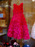 A Party Dress of Silk Roses<br />6154