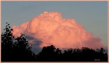 Pink Cloud 2013