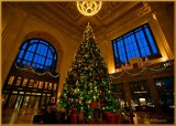 The Tree at Union Station 2013
