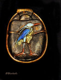 Heron Scarab