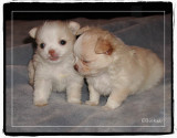 Brother and Sister 2001