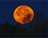 Super Duper Moon 2016
